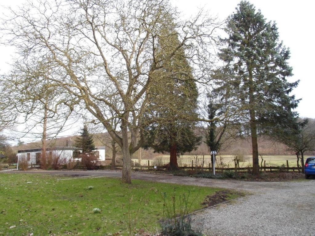 Ferienhaus Uklei Sielbeck Zewnętrze zdjęcie